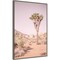 Joshua Tree III Blush by Elizabeth Urquhart Canvas Wall Art Print Framed